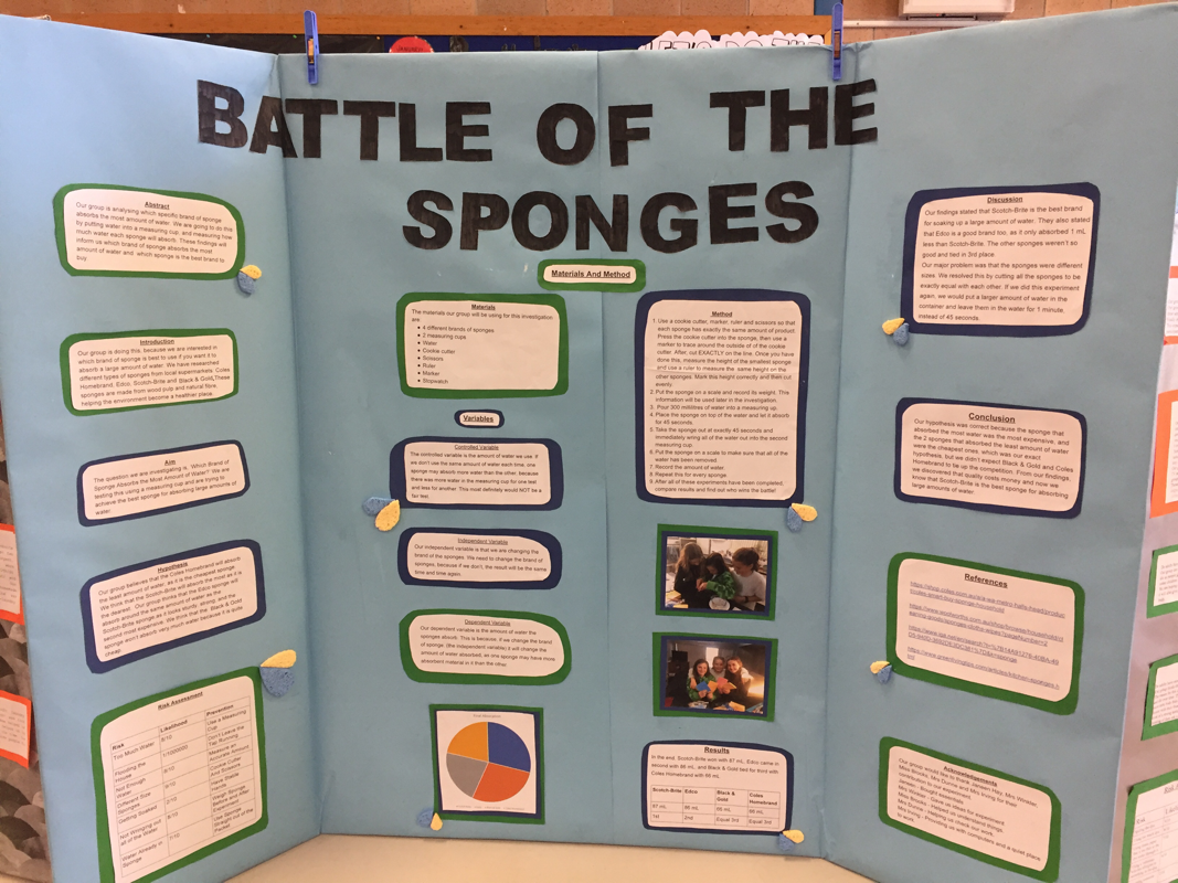 Science Fair Ideas About Which Fabric Absorbs the Most Water